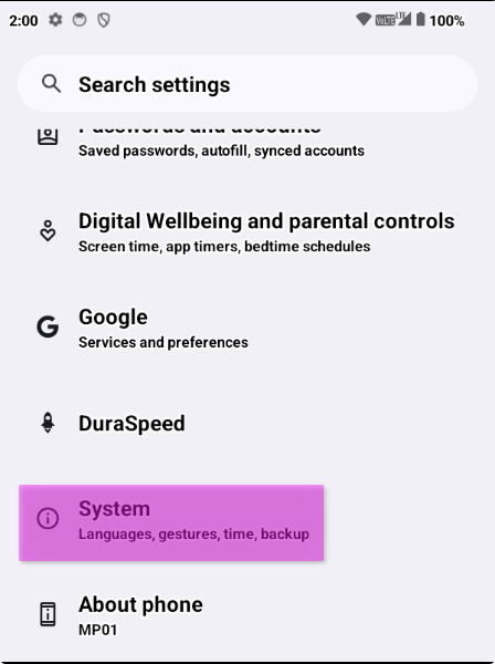 Showing System in Settings